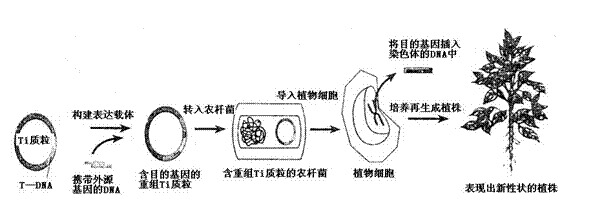 3E86FB0743615D5ED40DE7B2B68329